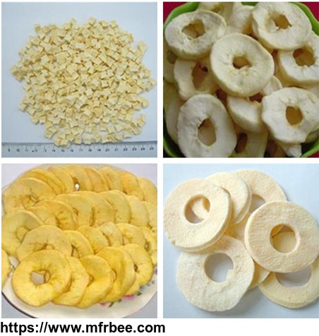 tina_at_richfoods_cn_moisture_7_percentage_freeze_dried_apple_rings