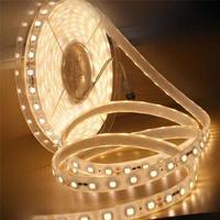more images of RGB decorative flexible LED strip lights for outdoor use IP68 SMD5050