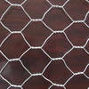 Chicken wire mesh - galvanized or PVC coated chicken mesh
