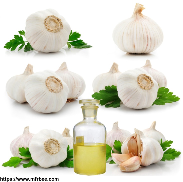 essential_oils_garlic_oil