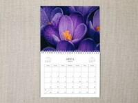 Flower Photo Cover - Weekly 2023
