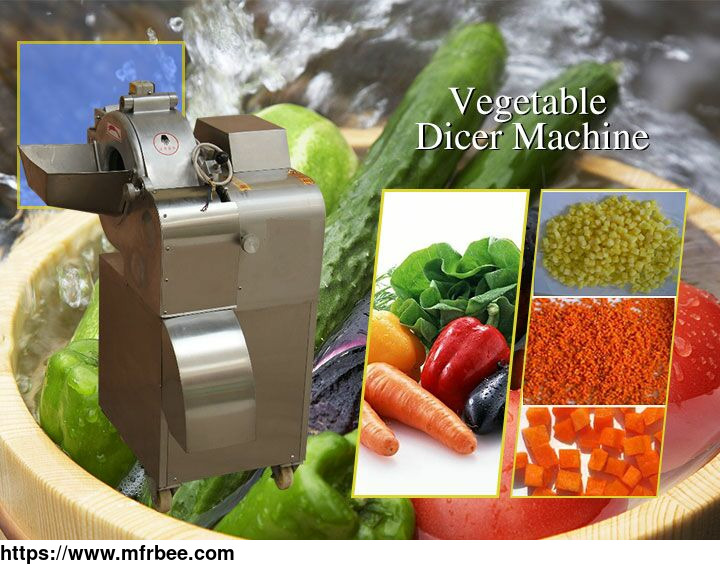 vegetable_dicing_machine_onion_and_tomato_dicer_machine