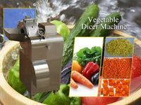 Vegetable Dicing Machine | Onion & Tomato Dicer Machine