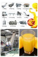 Mango Juice Pulp Production Line | Mango Pulp Juicer Machine