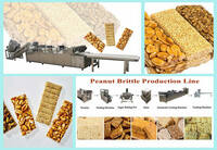 Peanut Candy Production Line | Peanut Brittle Chikki Making Machine