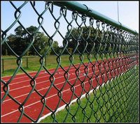 Plastic Coated Galvanized Chain Link Fence