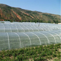 more images of Polyethylene Agriculturall Insect Nets