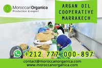 argan oil wholesale in bulk from morocco