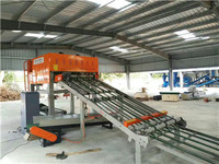 DP1300S hot sell air suction wood veneer stacker for plywood