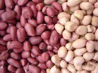 more images of peanut kernels, blanched peanut, peanut in shell