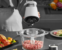 more images of Gaabor Food-processor