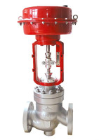 Cage Guided Globe Control Valve