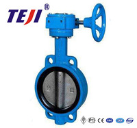 more images of Wafer Type Concentric Butterfly Valve