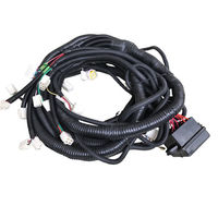 Custom Automobile Wire Cable Harness Assemblies For Sweeping Car and other Vehicle Cars