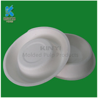 Biodegradable pulp molding disposable pet bowl and cat litter tray