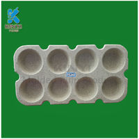 more images of Disposable molded pulp nursery tray