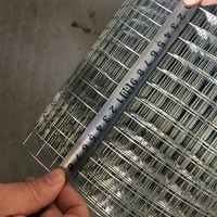 Hot-dipped galvanized or Pvc coated welded wire mesh
