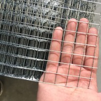 more images of Hot-dipped galvanized or Pvc coated welded wire mesh