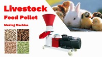 Livestock Feed Pellet Making Machine | Flat Die Poultry Feed Pellet Mill