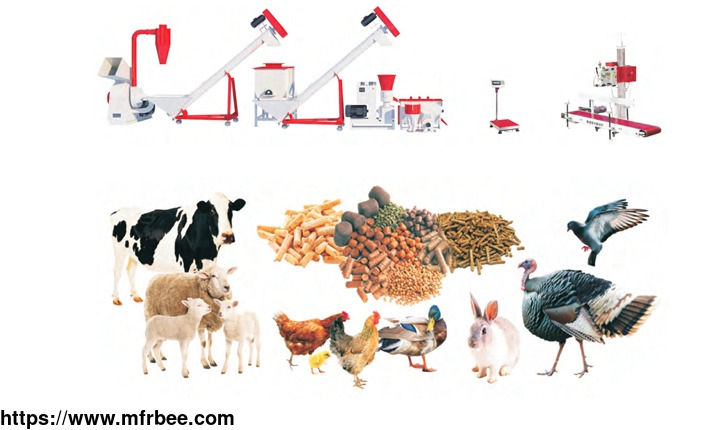 poultry_feed_pellet_production_line