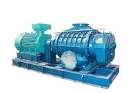 Landfill gas mechanicl seals Rotary blowers