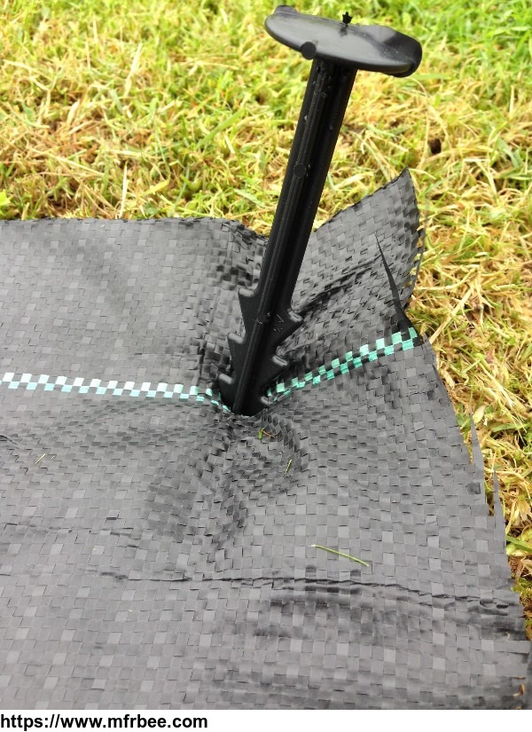 agricultural_black_plastic_ground_cover_pp_weed_mat_prevent_weed_cloth_with_different_sizes
