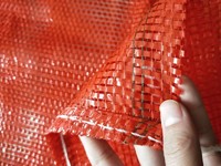 more images of PP Mesh bags for fruits and vegetables
