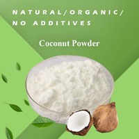 ODM OEM 20:1 Coconut Juice Powder Bulk Organic Instant Coconut Drink Powder