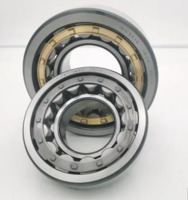 nu 1060 Cylindrical Roller Bearings