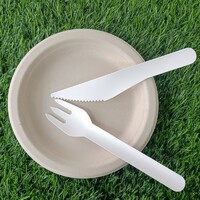 more images of Paper Pulp Biodegradable Food Container Bamboo Cutlery Disposable Dessert Fork