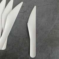Biodegradable Bamboo Fiber Disposable Dinner Fruit Dessert Cutlery Paper Knife
