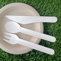 more images of Biodegradable Bamboo Fiber Disposable Dinner Fruit Dessert Cutlery Paper Knife