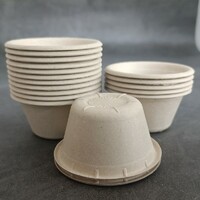 2oz 50ml Wholesale Sugarcane Bagasse Bamboo Pulp Biodegradable Party Supplies Disposable Sauce Cup with Lid