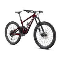 2020 Specialized Enduro Expert Mountain Bike (ARIZASPORT)