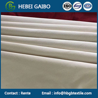 T80/C20 Pocketing Linen Fabric