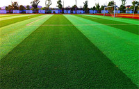 Artificial Grass | turf for Homes and Businesses or Football Court