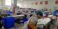 China Aaaa Cheap Quality Walnut Kernel