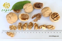 more images of Northern Walnut Kernel & Whole Half Walnut Kernel & Balanced Walnut Kernel