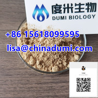 more images of 4-Amino-3,5-dichloroacetophenone CAS 37148-48-4