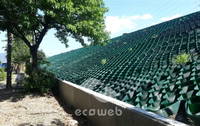 HDPE Ecoweb Cellular Confinement System