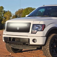 Mesh Grille For 2013-2014 Ford F-150