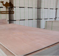 more images of Hot sales great price commercial plywood for decoration