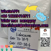 High quality 137-58-6 lidocaine