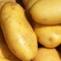 Offer to Sell POTATOE