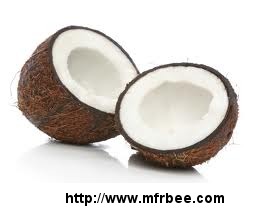 offer_to_sell_coconut