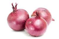 Offer To Sell Onion