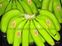 Offer To Sell Fresh Green Cavendish Banana