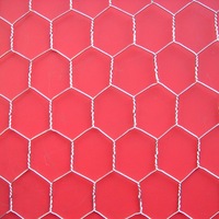 more images of Hexagonal Wire Netting