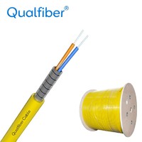 2 core spiral steel armored Indoor fiber optic cable