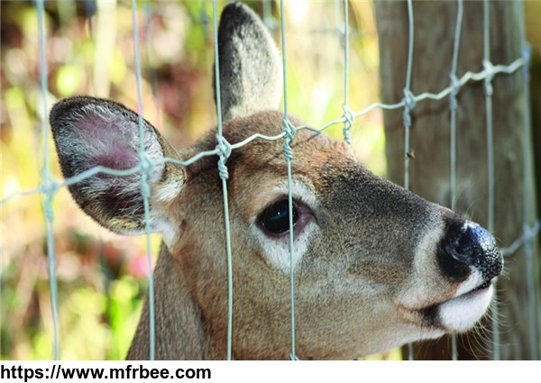 deer_fence